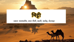 राजस्थान की मिट्टियाँ: प्रकार, विशेषताएँ और वितरण